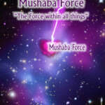 Introduction to the Mushaba Force
