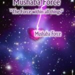 Introduction to the Mushaba Force - eBook